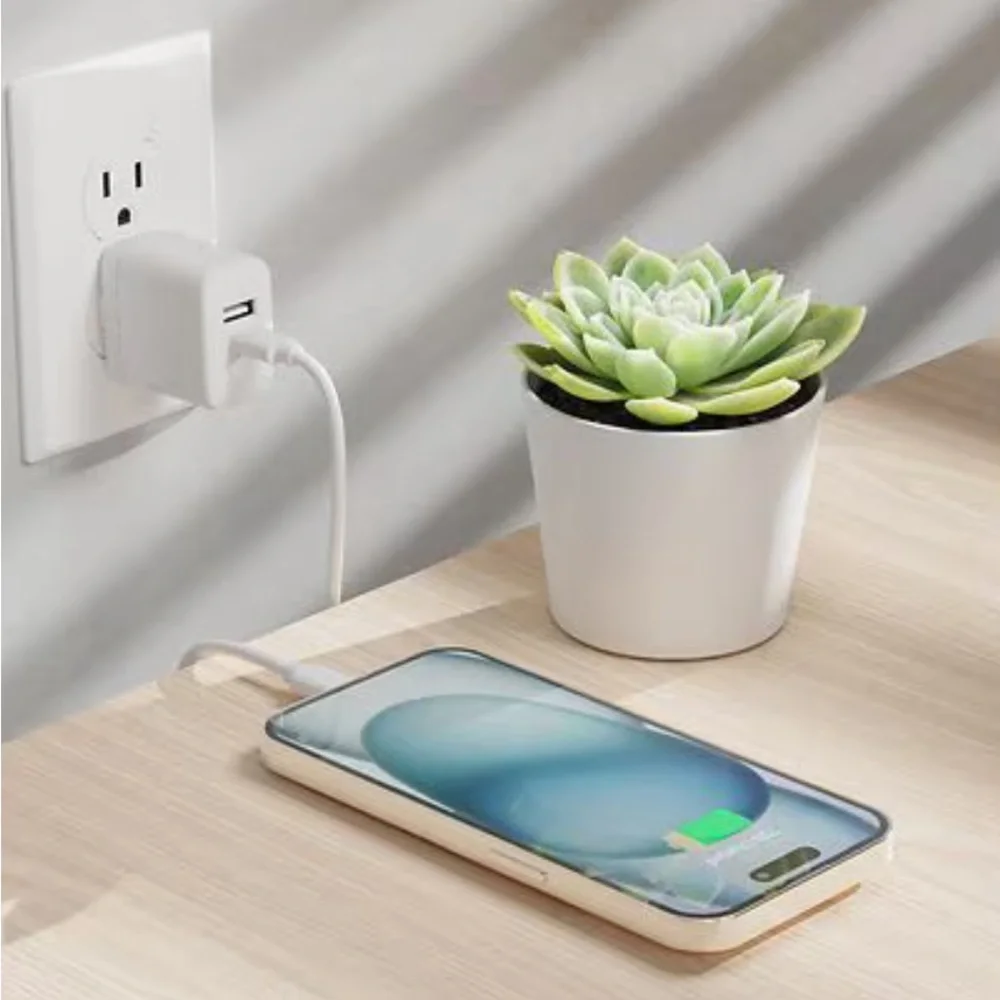 Just Wireless Home Charger Dual USB-A/USB-C 30 Watt 6 ft